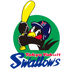 Tokyo Yakult Swallows