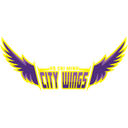 Ho Chi Minh City Wings